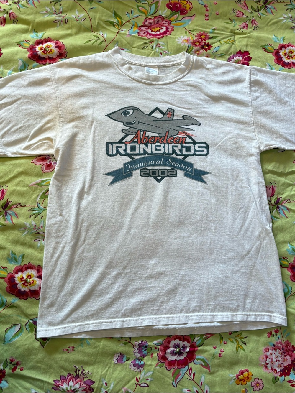 Aberdeen IronBirds x Gildan vintage Y2K 2002 inaugural season tee L 26x22 GUC